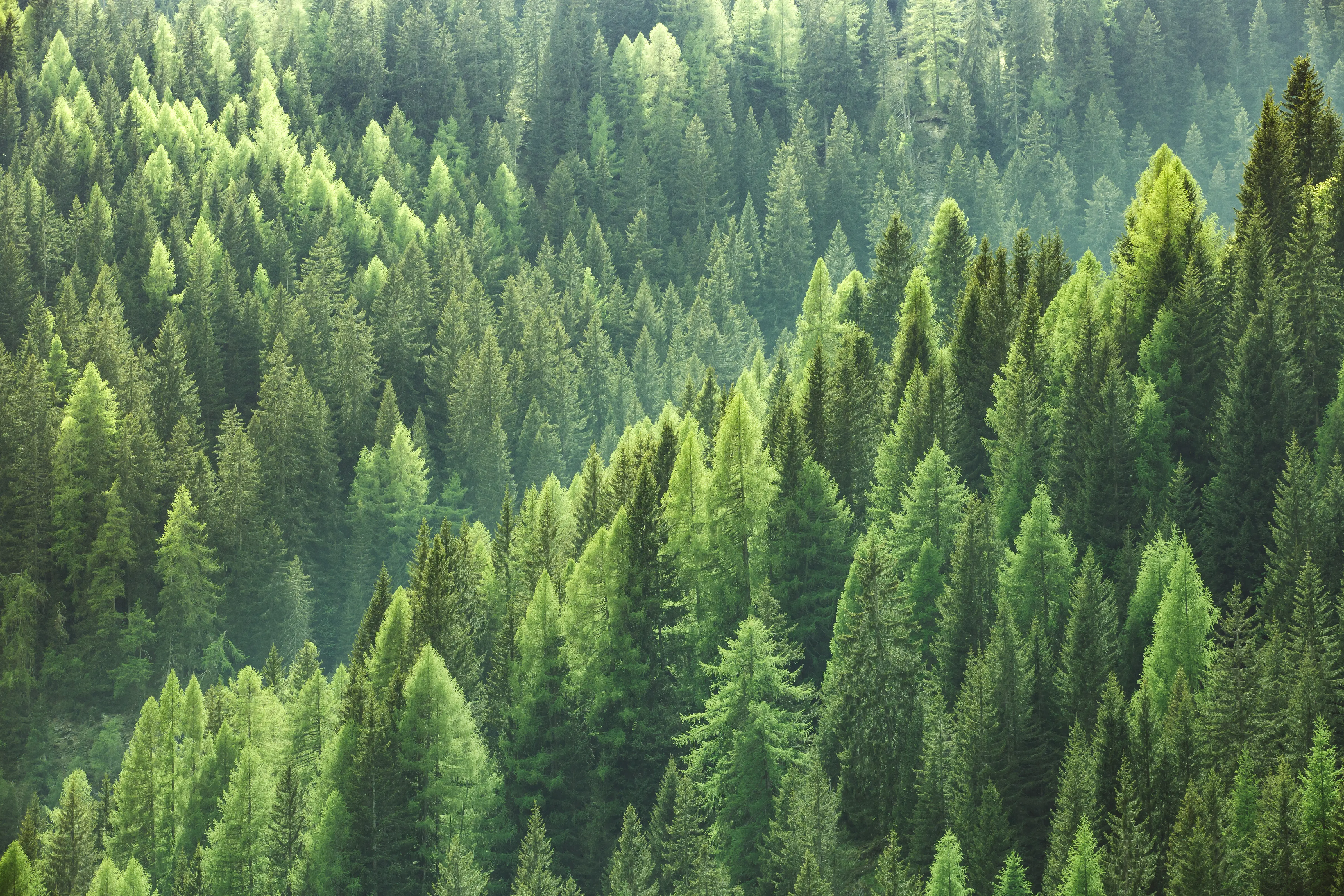 herobilde_Sustainability
