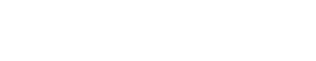 N& Logo White