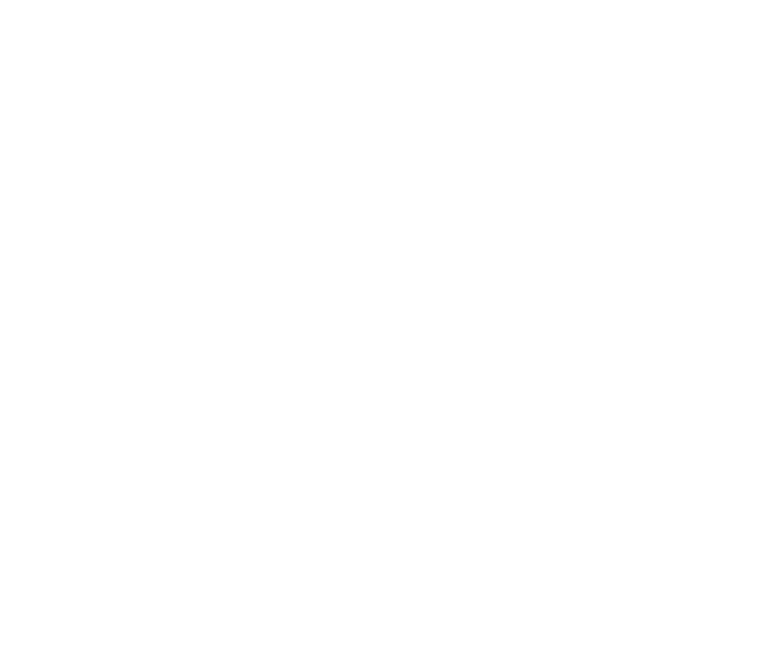 Fram Logo V White RGB